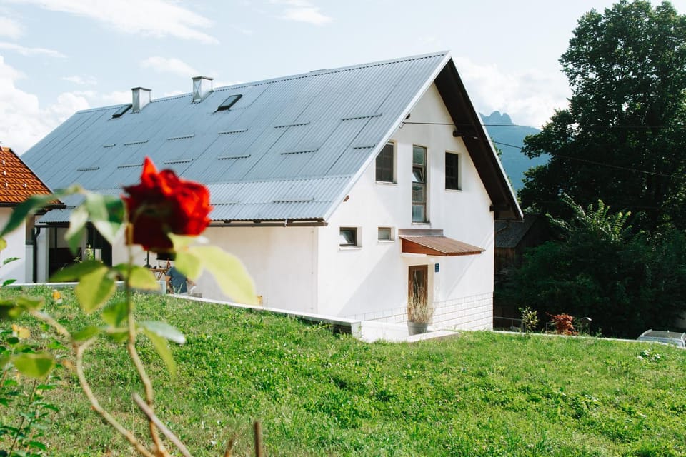Property building, Spring, Day, Garden, Garden view