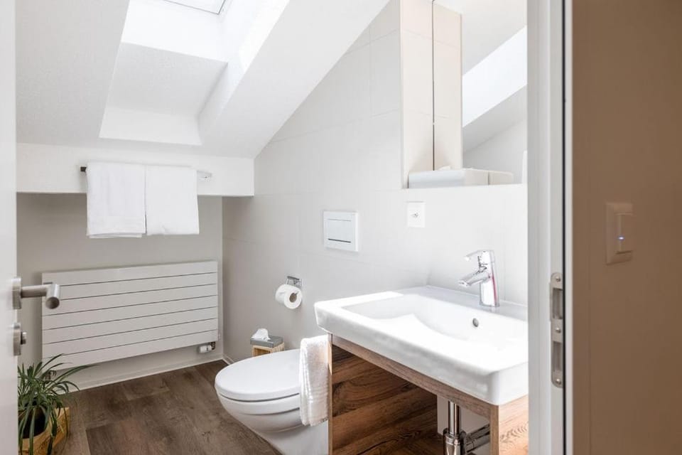 Hotel Zur Traube Hotel in Canton of Valais