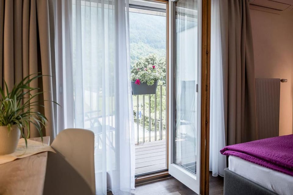 Hotel Zur Traube Hotel in Canton of Valais