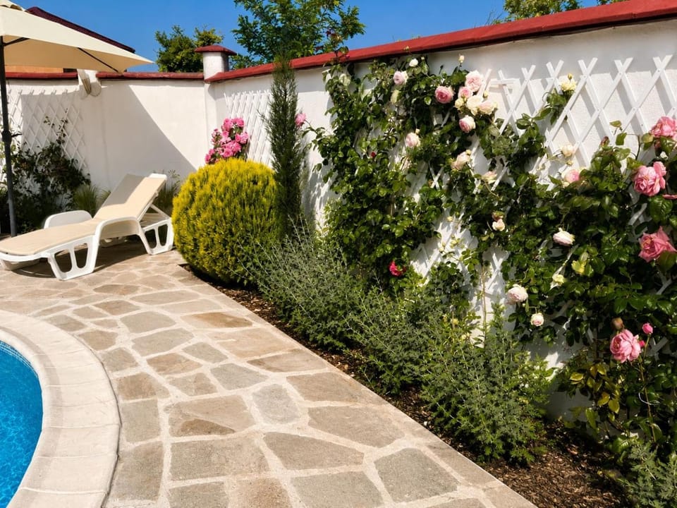 Patio, Day, Garden, sunbed