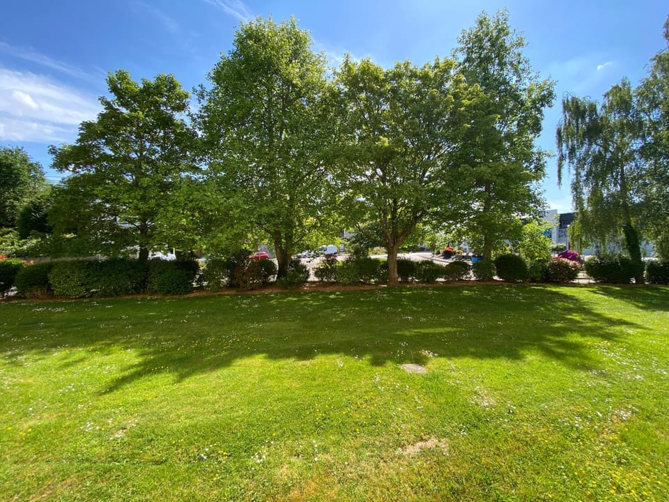 Day, Natural landscape, Garden, Garden view