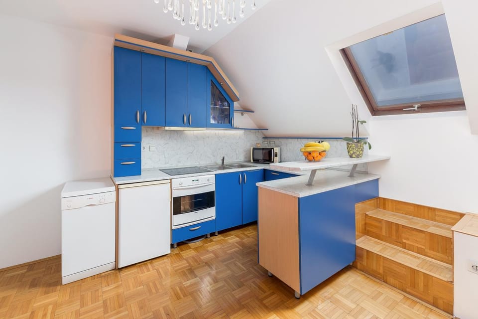 Kitchen or kitchenette, minibar, pet friendly, stove