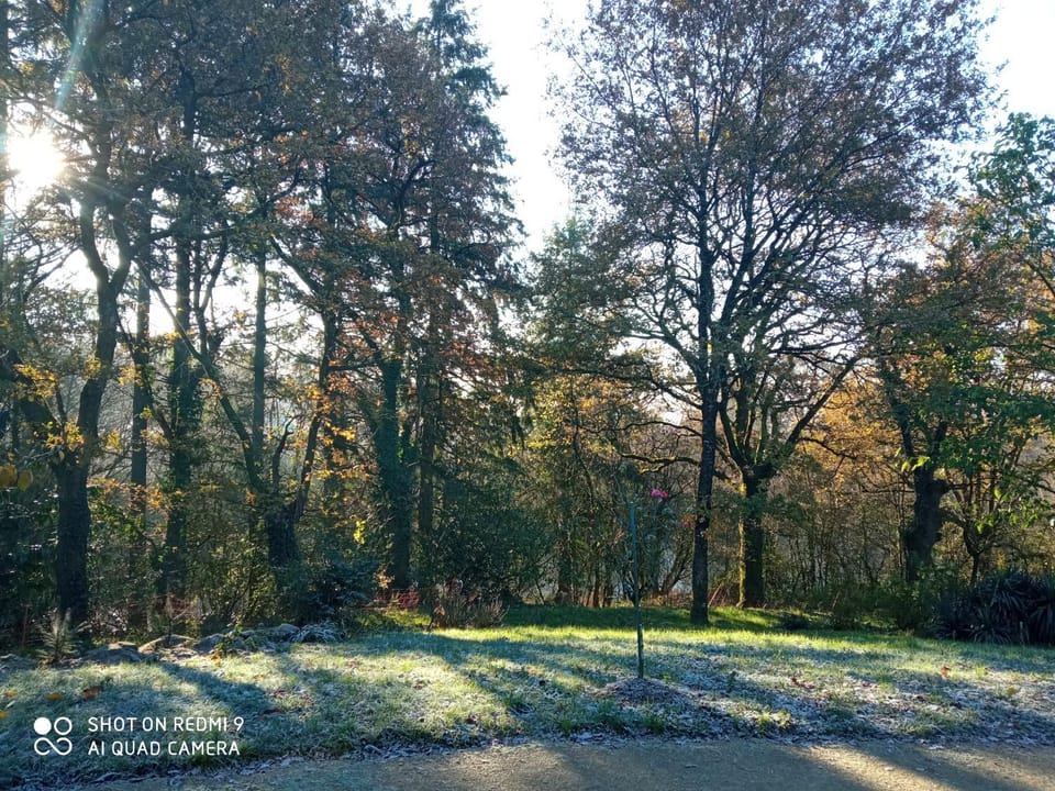 Garden, View (from property/room)