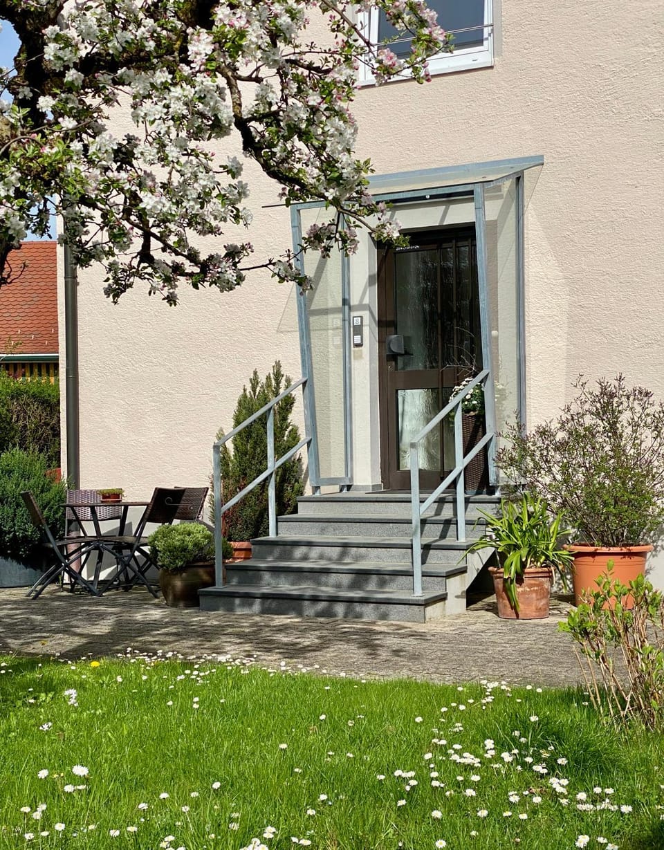 Property building, Spring