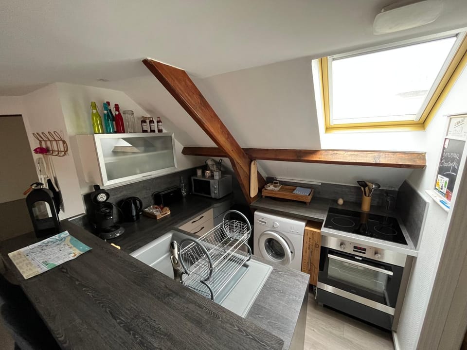 Coffee/tea facilities, minibar, pet friendly, stove, washing machine, kitchen