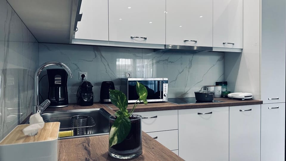 Kitchen or kitchenette, minibar, stove