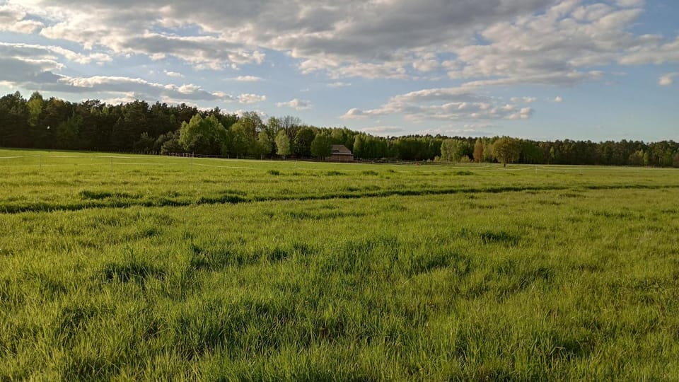 Spring, Natural landscape