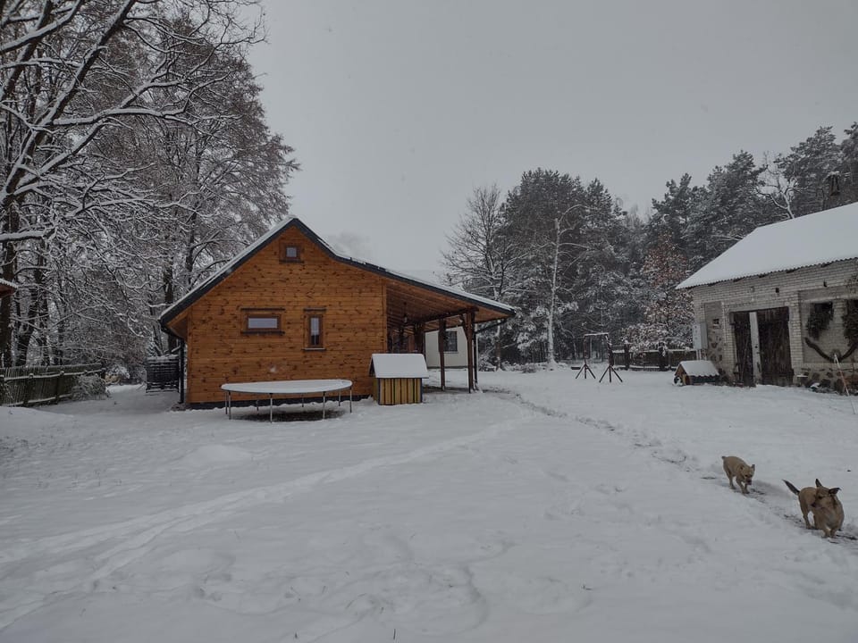 Property building, Winter