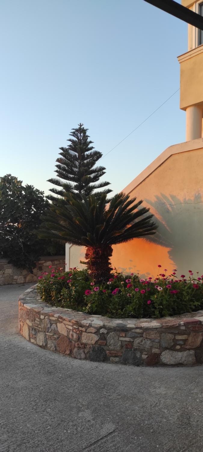 Property building, Day, Garden