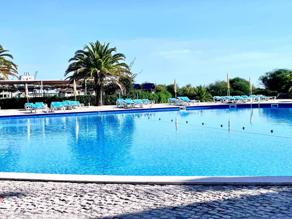 Day, Pool view, Swimming pool, sunbed