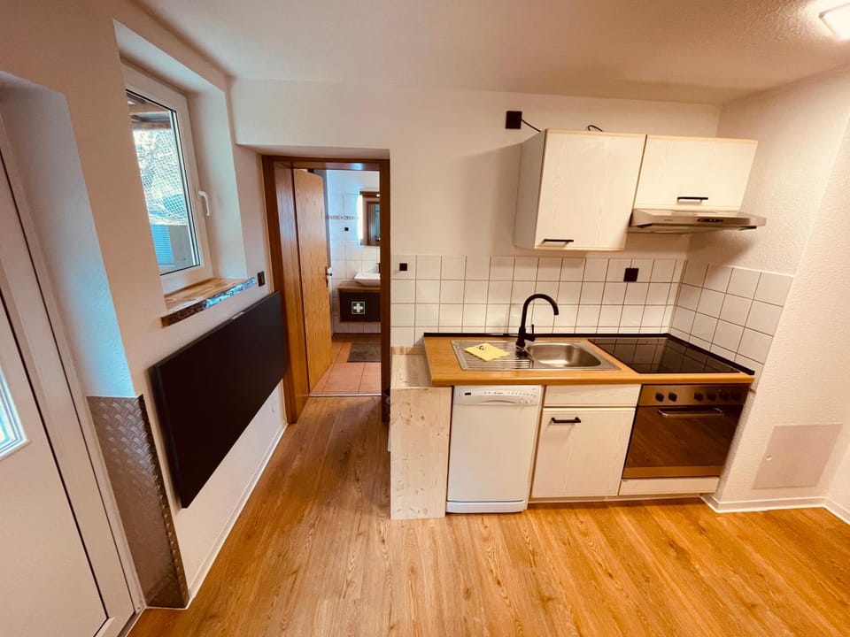 Kitchen or kitchenette, dishwasher, pet friendly, stove