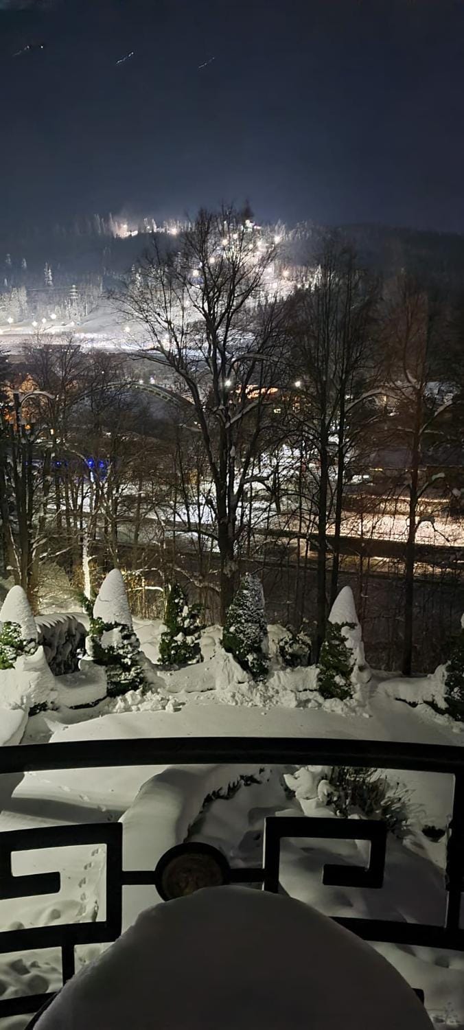 Night, Winter, Mountain view