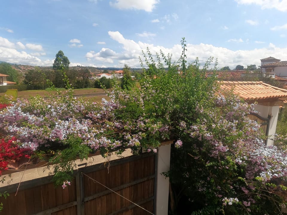 Garden view