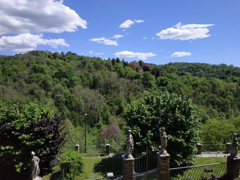 Natural landscape
