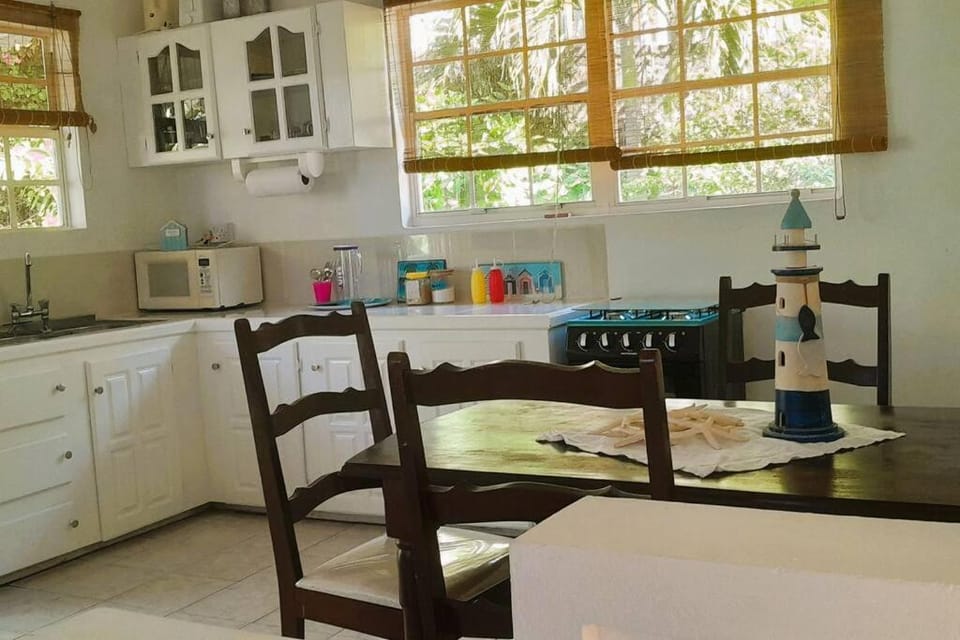 StarFish Apartment Apartment in Caribbean