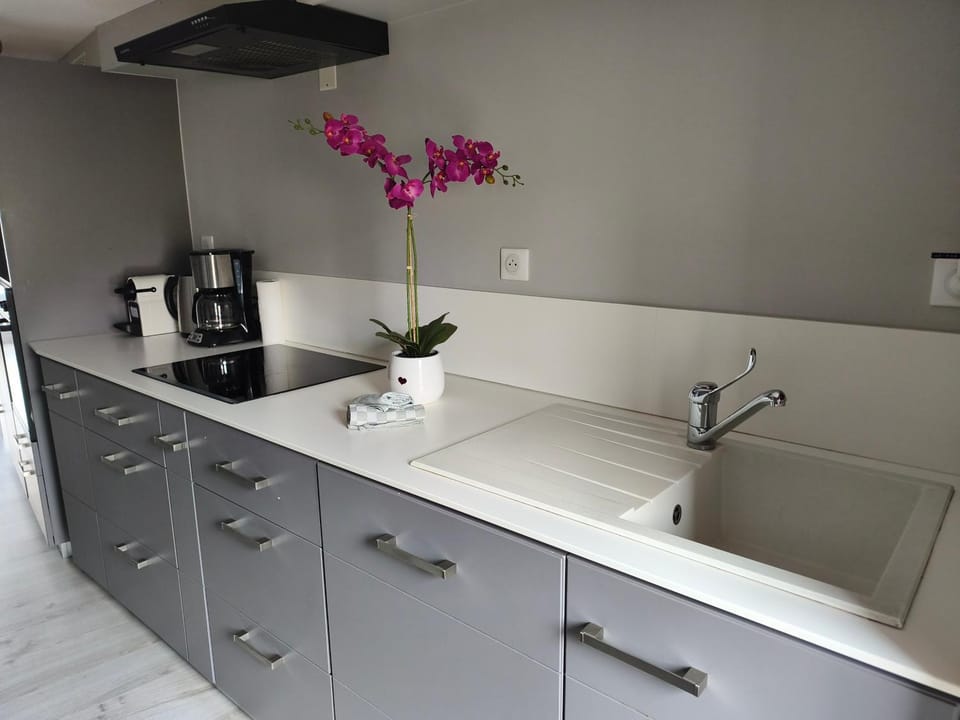 Coffee/tea facilities, stove, kitchen