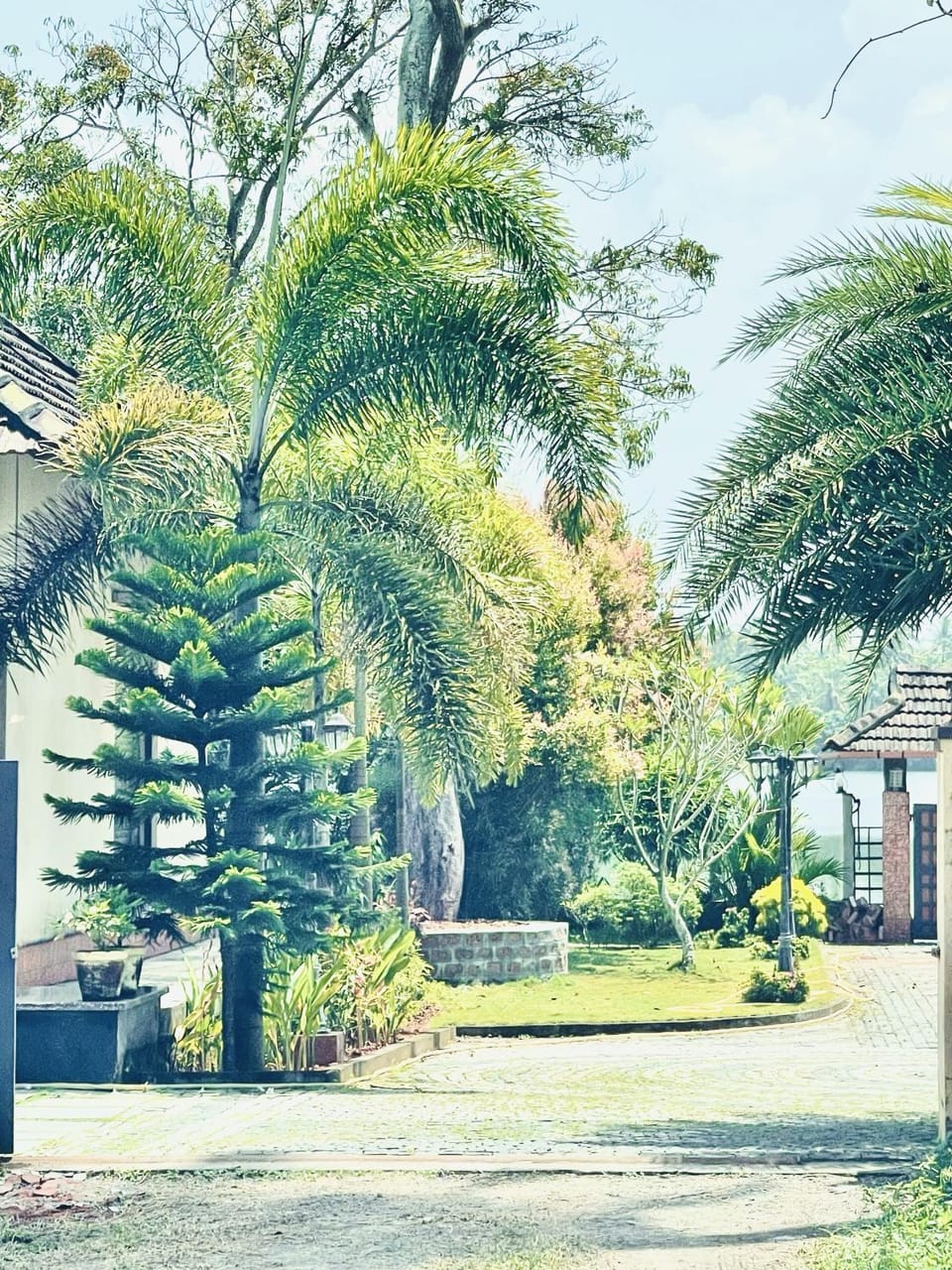 Garden view