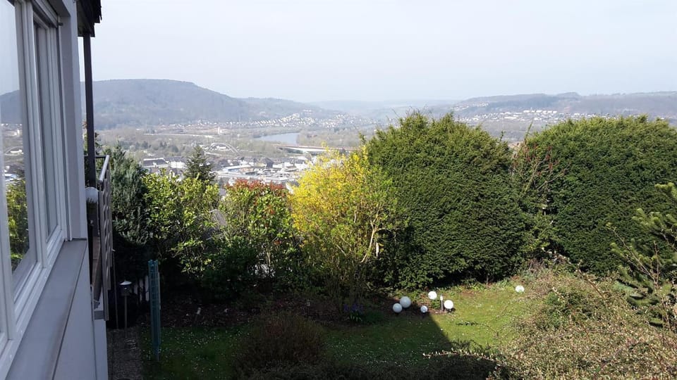 Natural landscape, Garden, River view