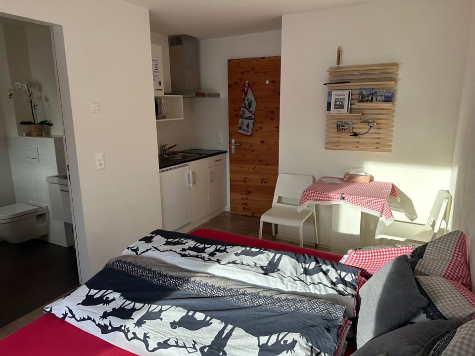 Bed, Kitchen or kitchenette, Living room, Photo of the whole room, Bedroom
