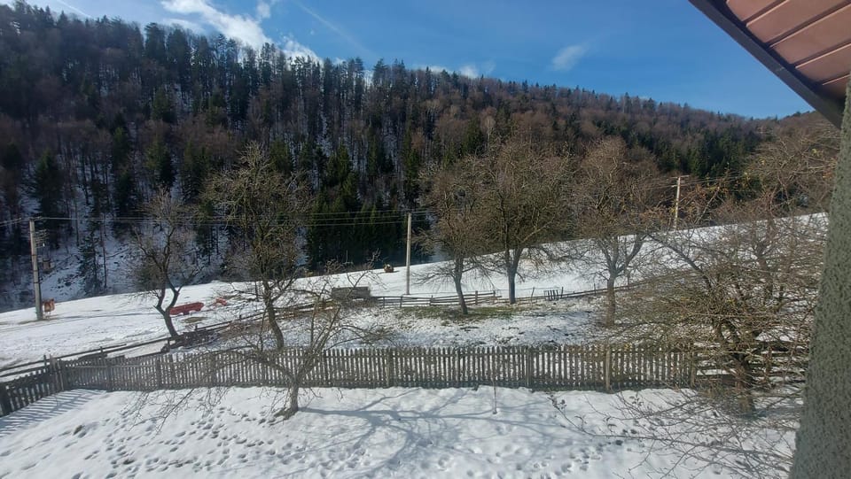 Vila Lane Nature lodge in Zlatibor District, Serbia