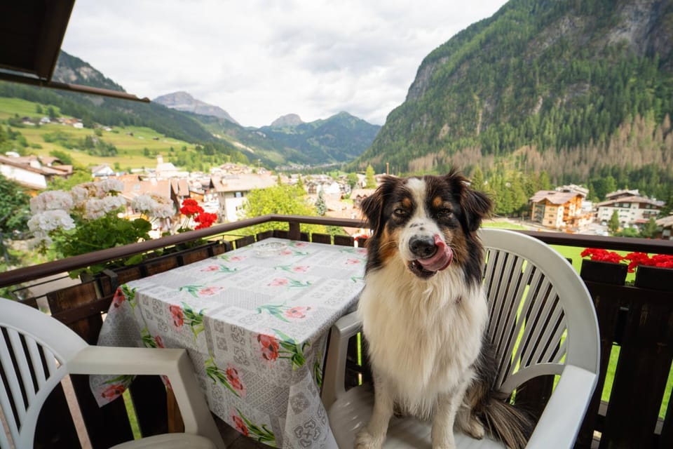 Cèsa Cherpei - Dog Friendly Bed and Breakfast in Trentino-South Tyrol