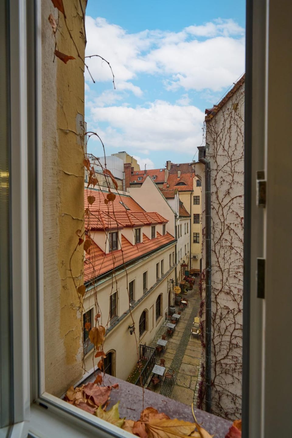 Neighbourhood, View (from property/room), City view, Street view