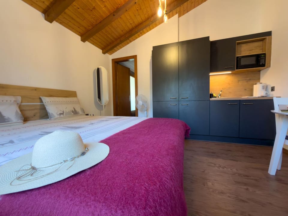 Bed, Kitchen or kitchenette, Photo of the whole room, Dining area, Bedroom