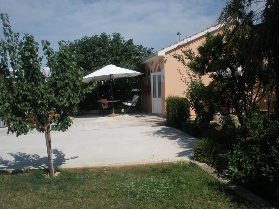 Patio, Garden, Garden view