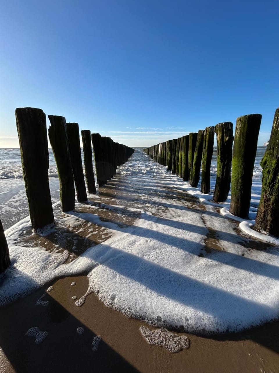 ' Zilten Huus Zoutelande House in Zoutelande