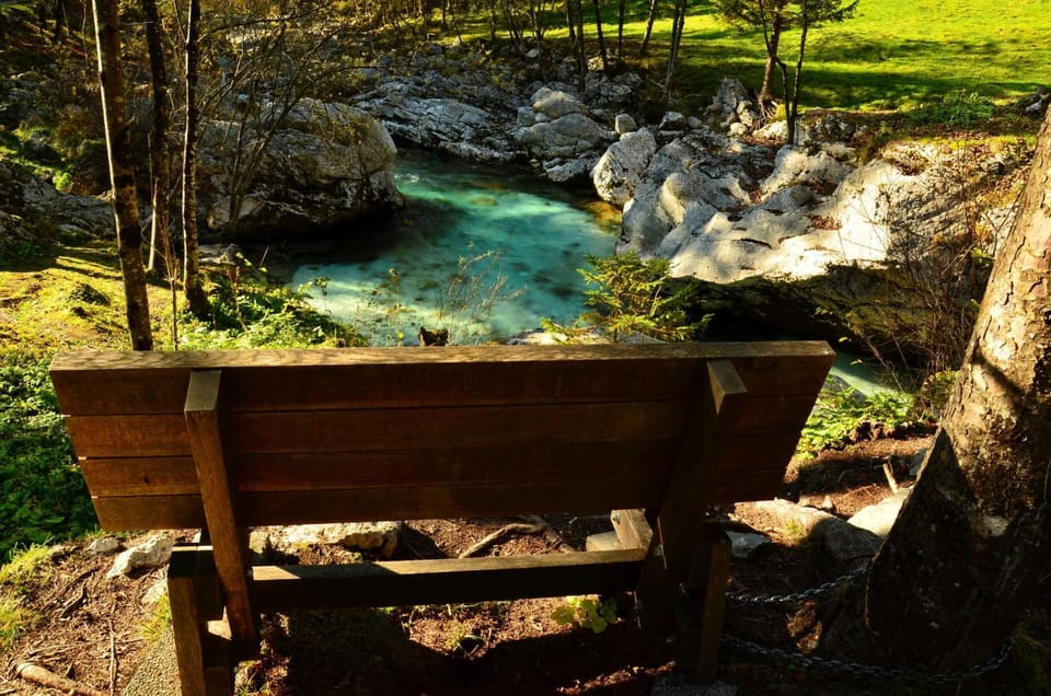 Natural landscape
