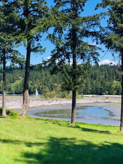 Natural landscape, Lake view