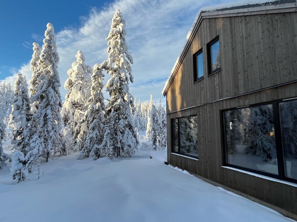 Day, Winter