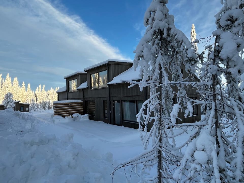 Day, Winter