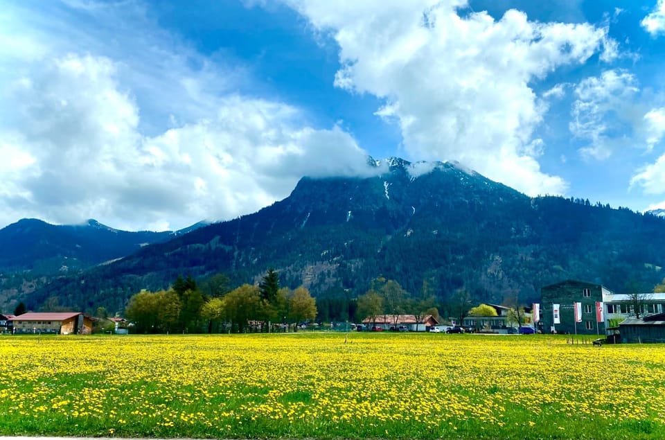 Natural landscape