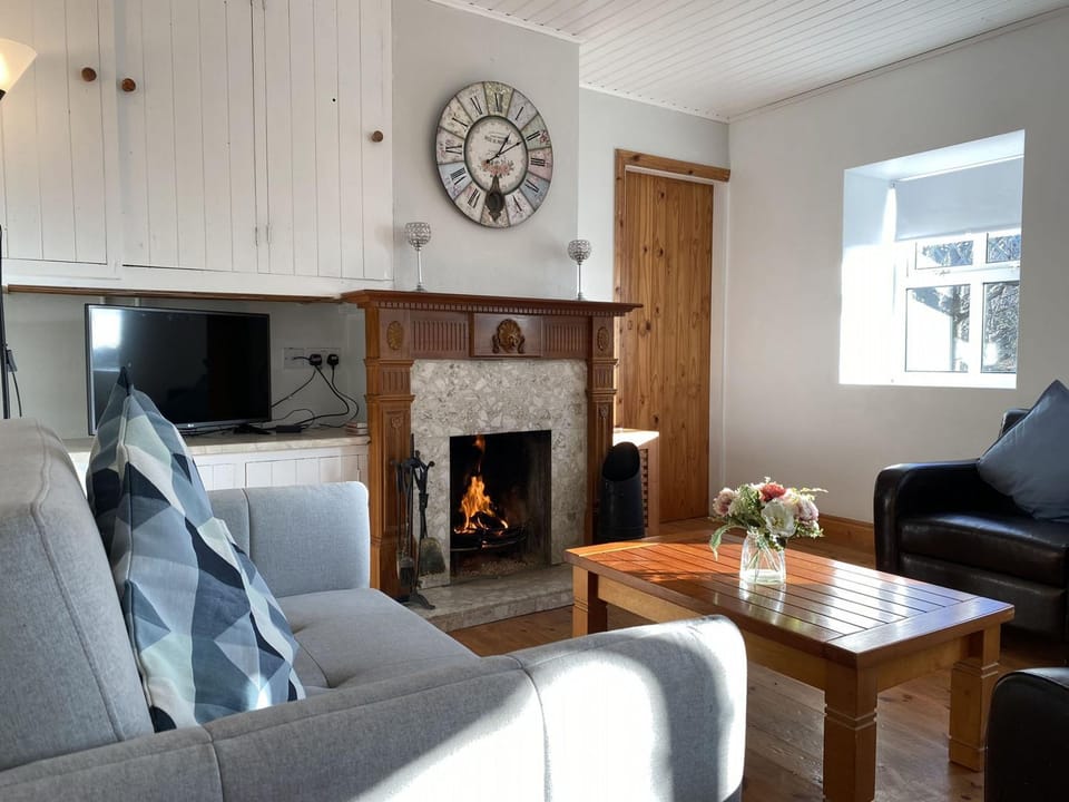 Property building, TV and multimedia, Living room, fireplace, flat iron, internet