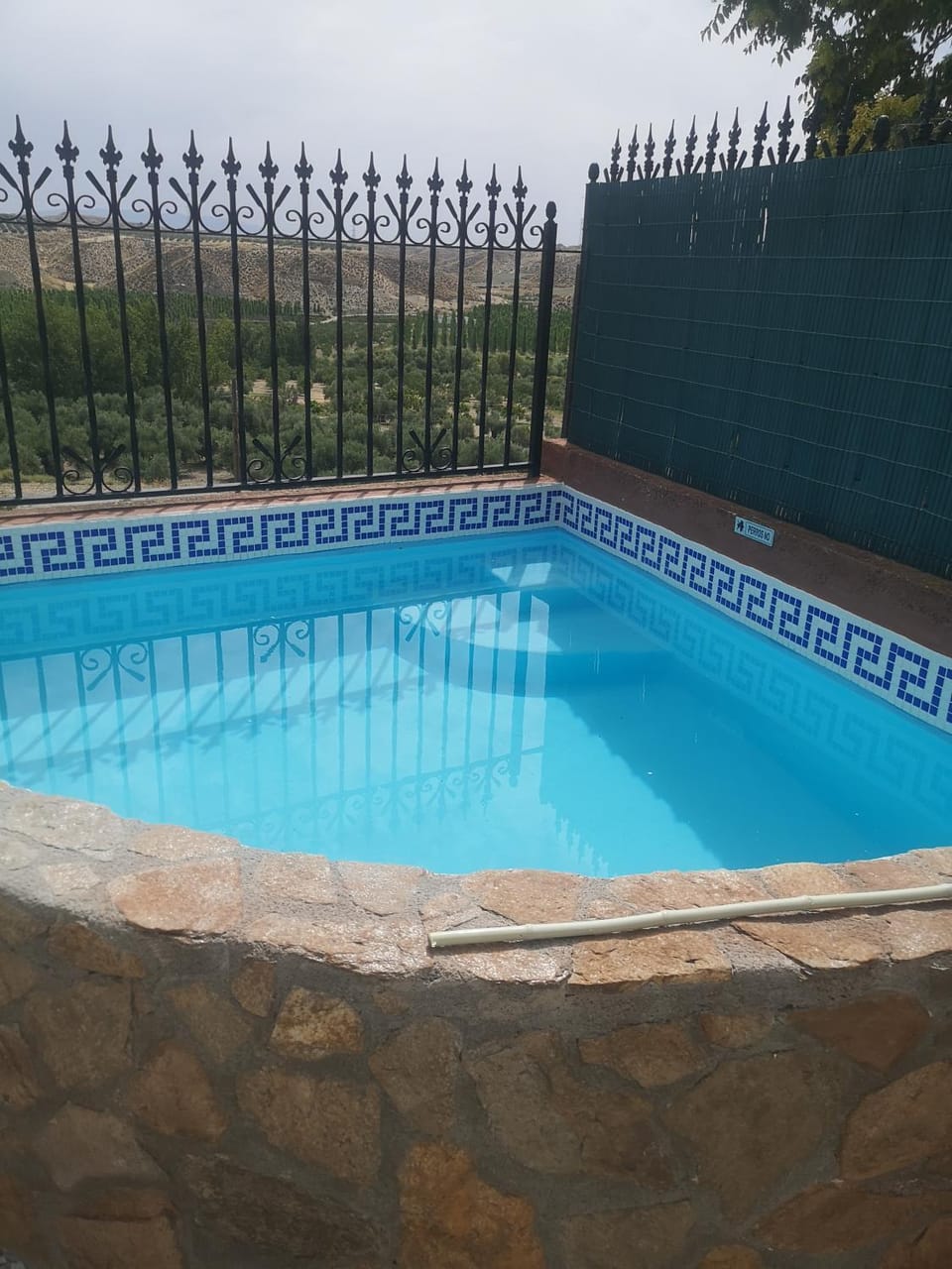 Day, Pool view, Swimming pool
