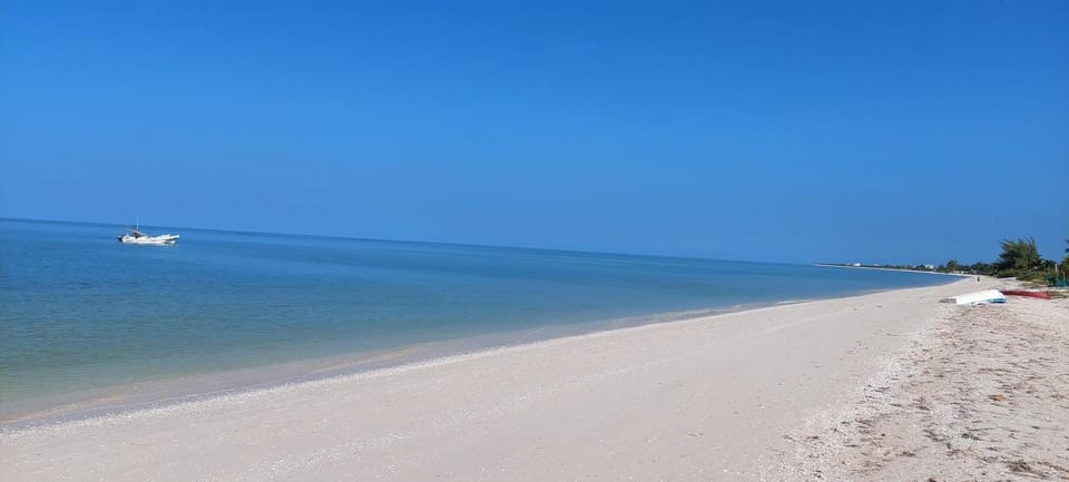 Sea view
