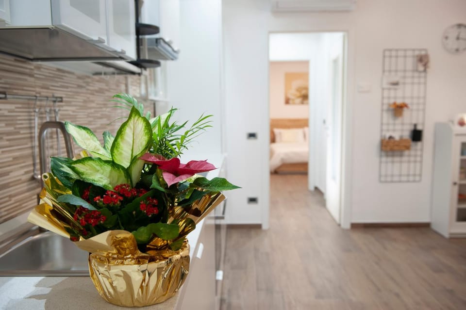 Kitchen or kitchenette, Bedroom