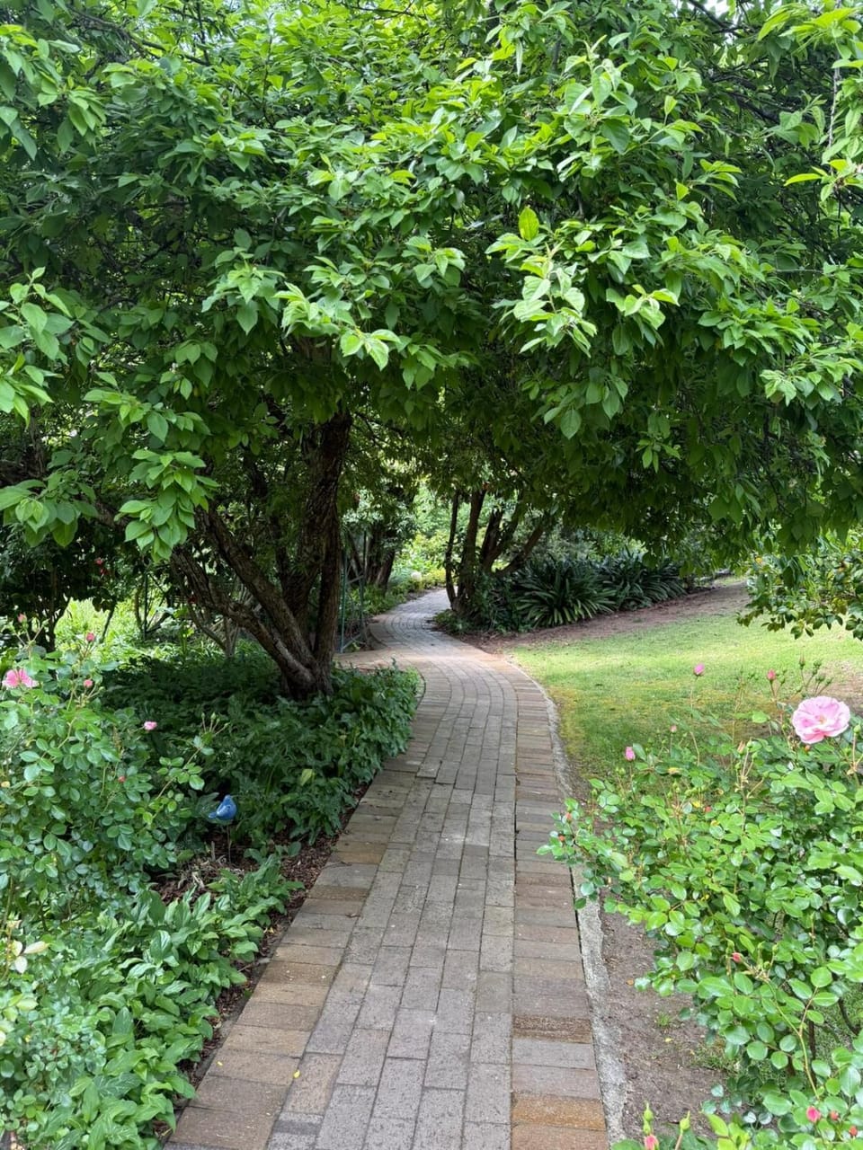 Spring, Garden view
