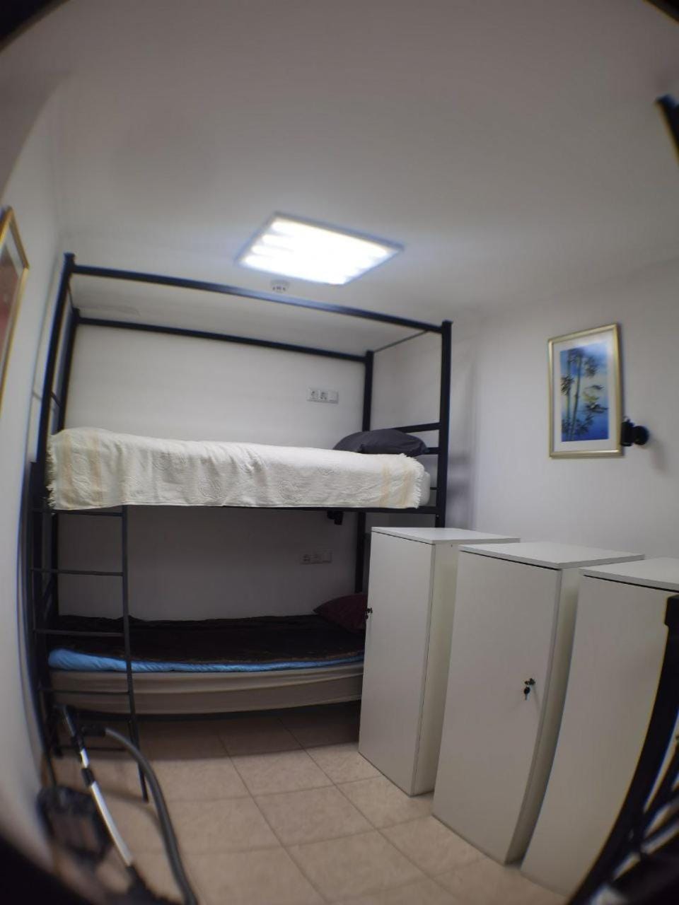 bunk bed
