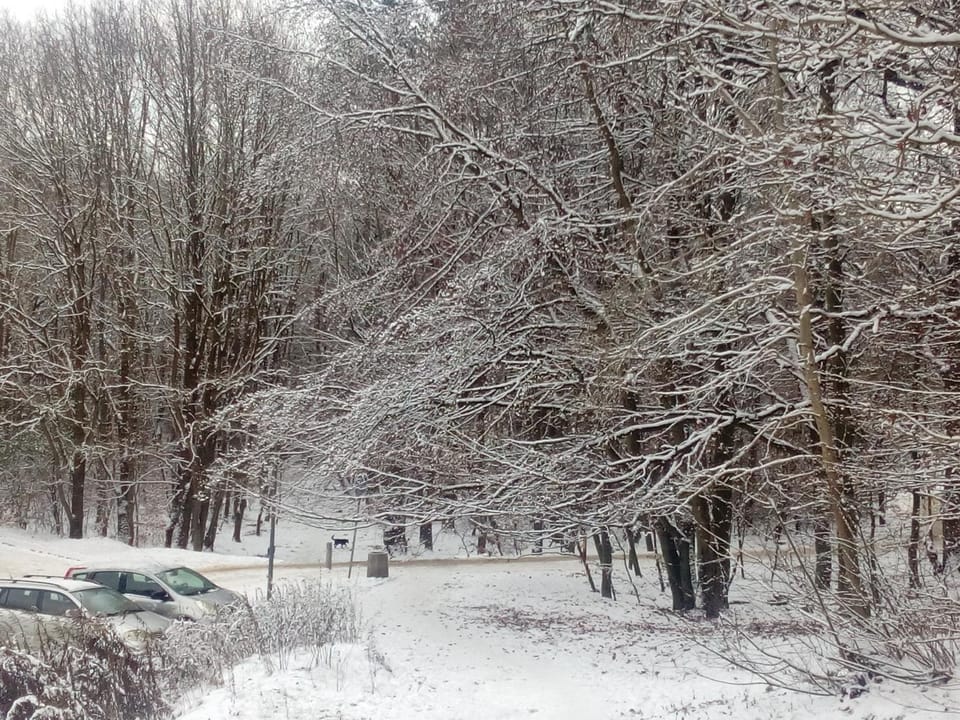 Natural landscape, Windsurfing, Hiking