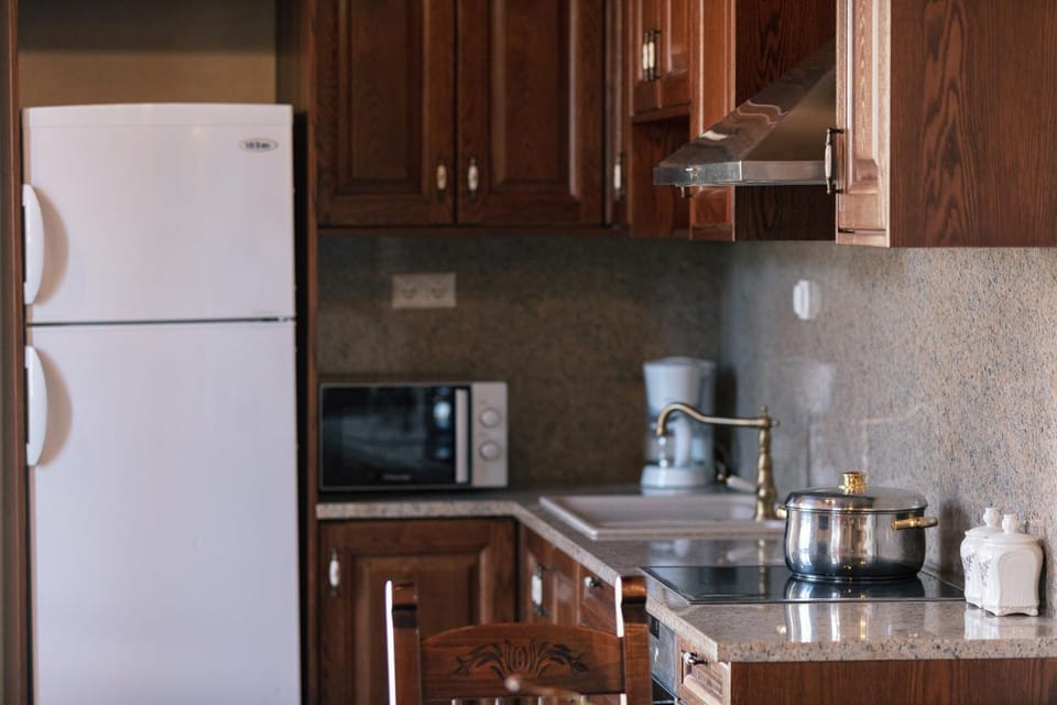 Kitchen or kitchenette, minibar, pet friendly