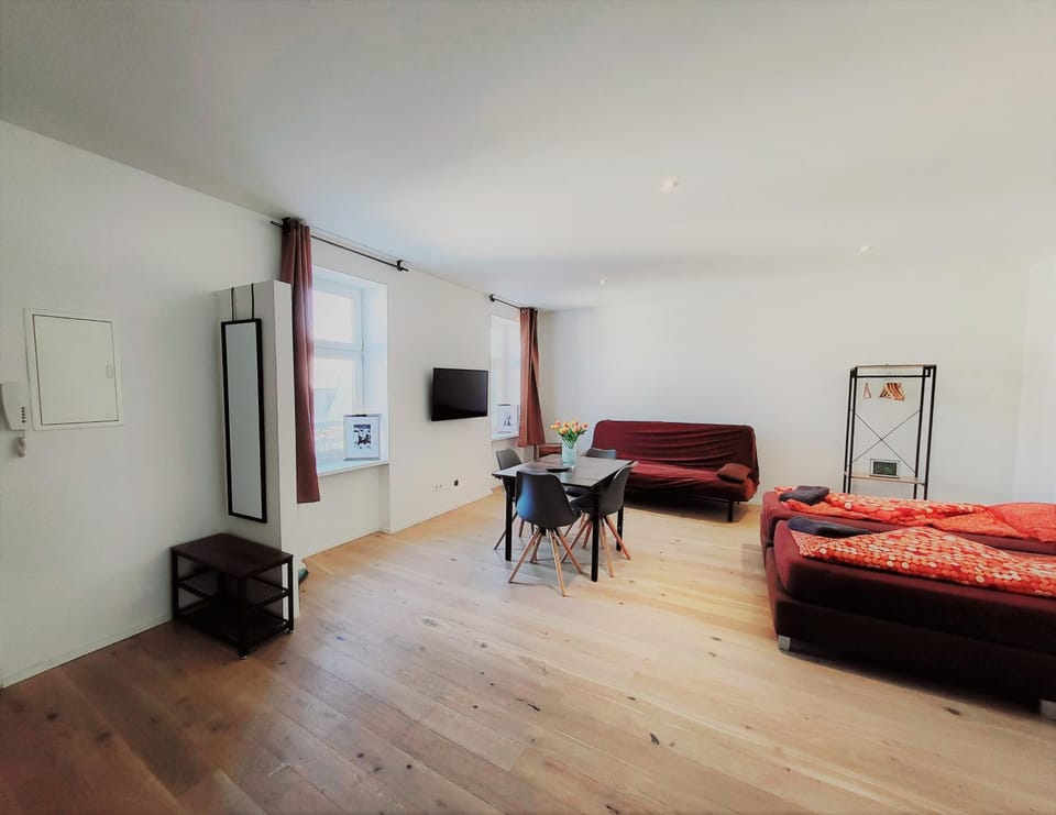 Apartment Hasengasse - Free Highspeed-Internet Apartment in Vienna