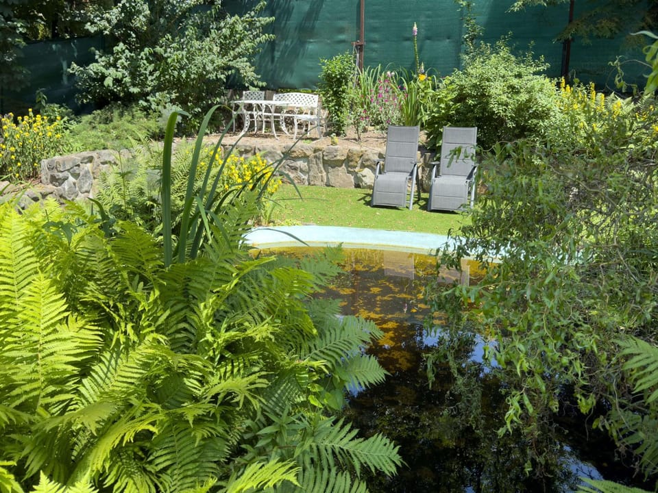 Seating area, Garden view