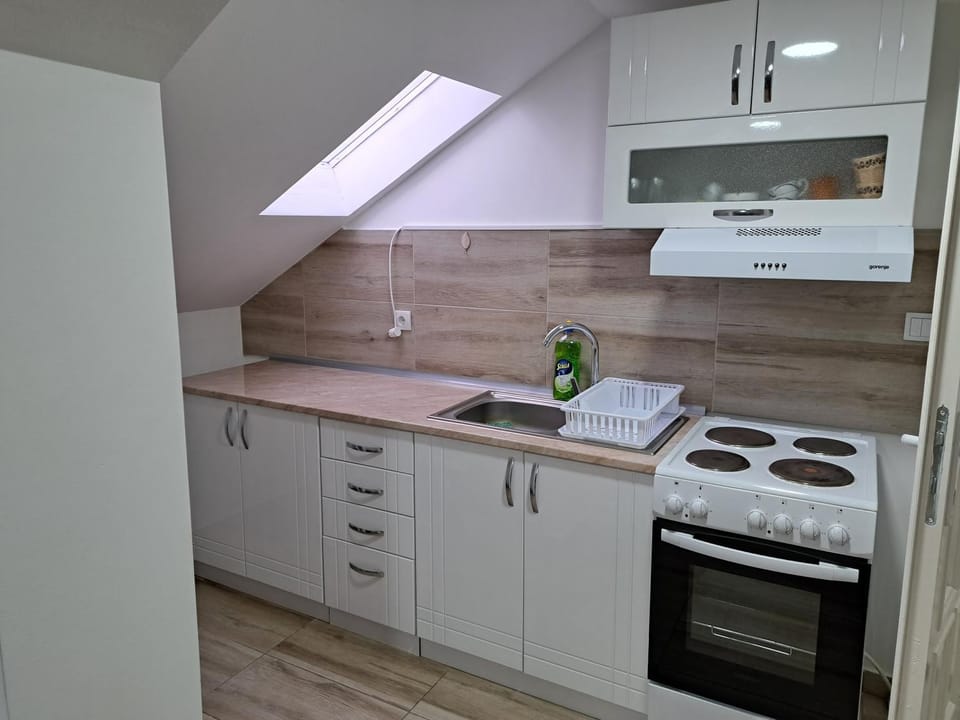 Relja Apartment in Serbia