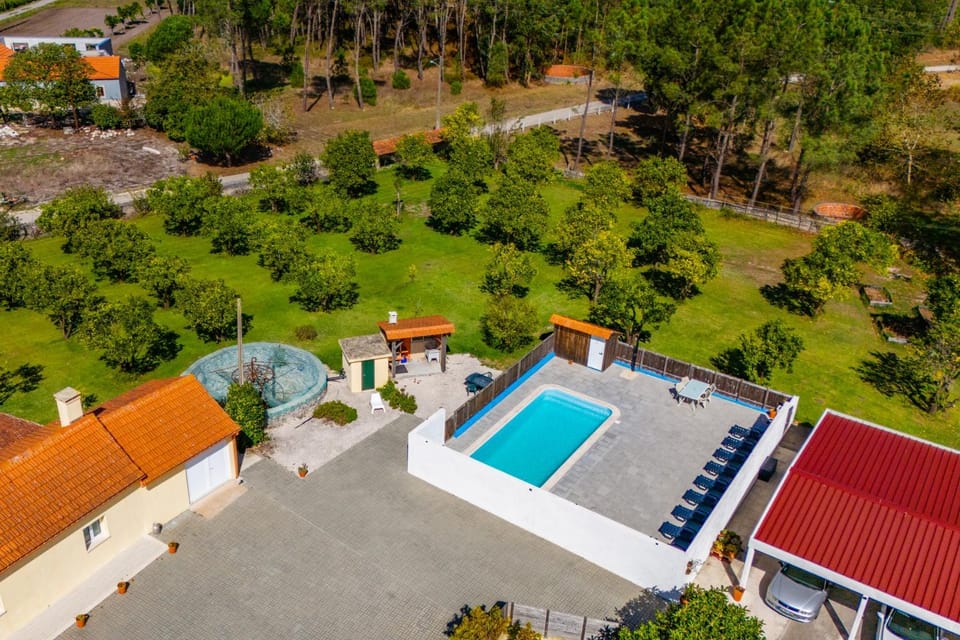 Bird's eye view, Garden, Swimming pool