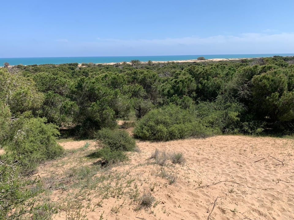 Natural landscape, Beach