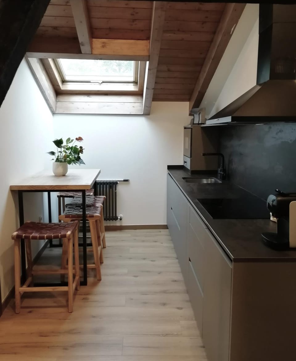 Coffee/tea facilities, Kitchen or kitchenette, Dining area, minibar, stove