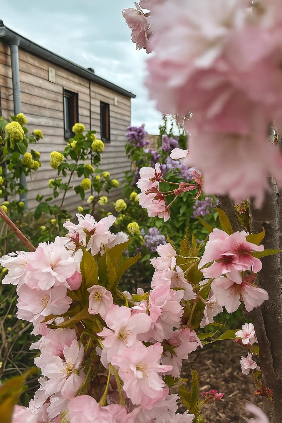 Patio, Garden, Hiking, Cycling
