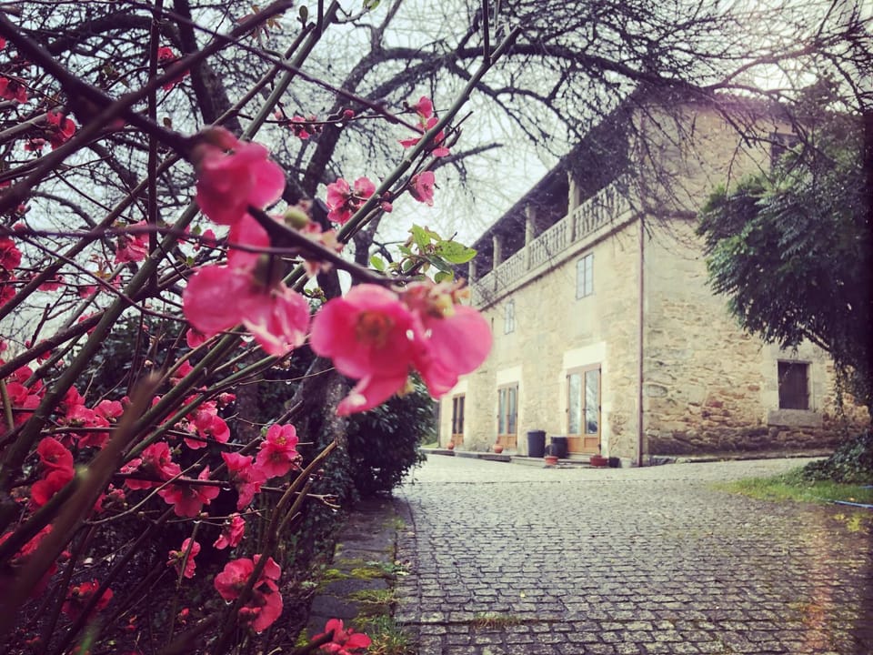 Casa Grande de Fuentemayor Country House in Galicia